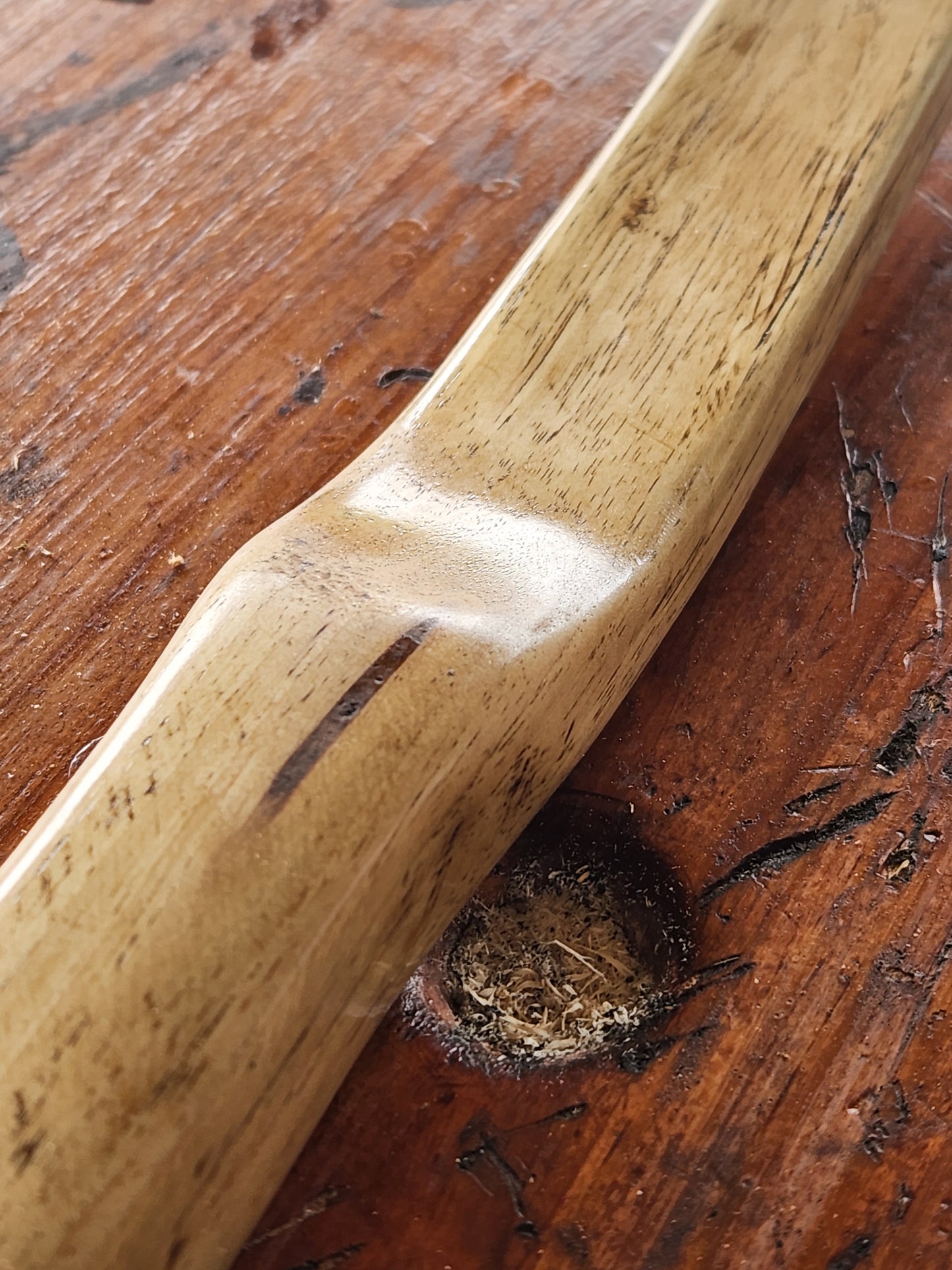 Hickory Recurve - Felled to Fired Series - "Bittersweet"