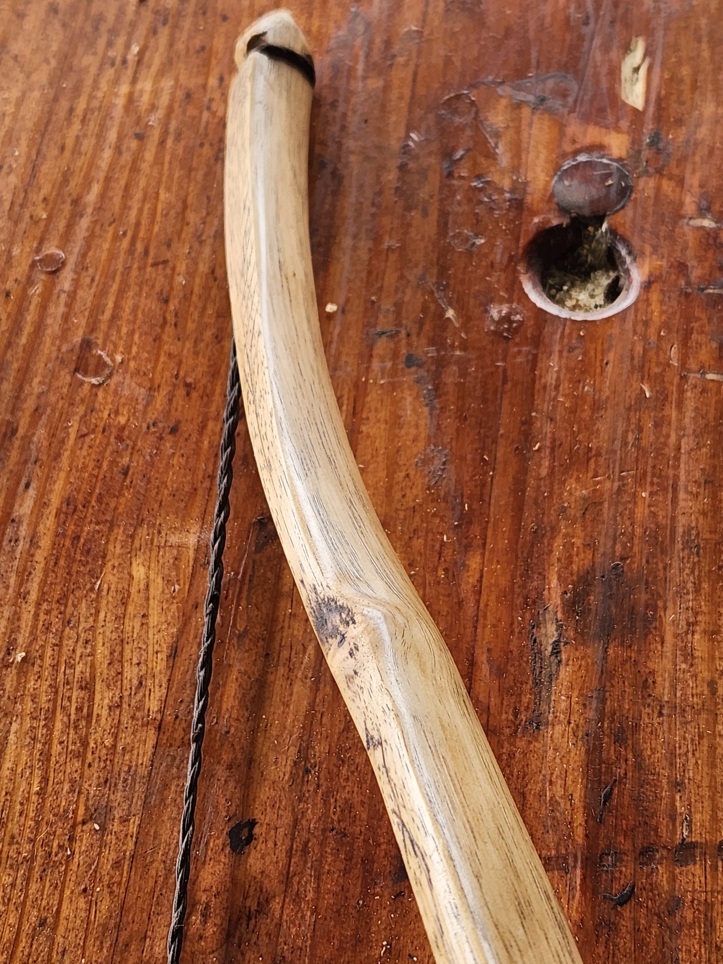 Hickory Recurve - Felled to Fired Series - "Bittersweet"