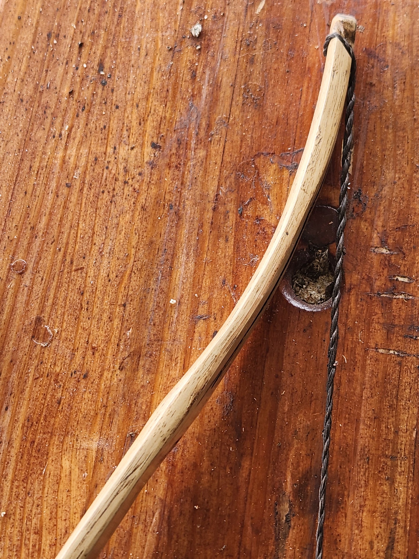 Hickory Recurve - Felled to Fired Series - "Bittersweet"