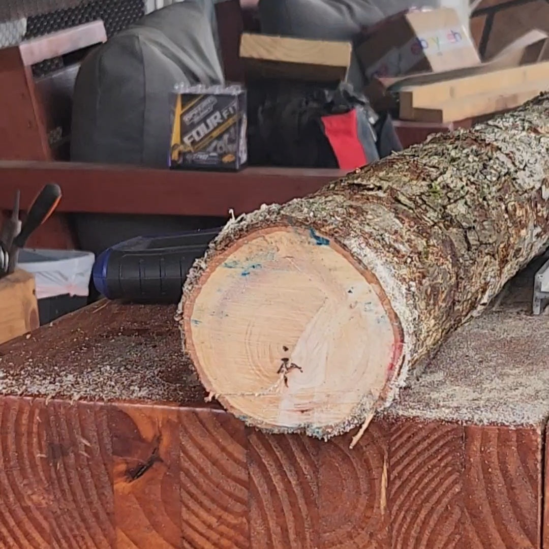Hickory Recurve - Felled to Fired Series - "Bittersweet"